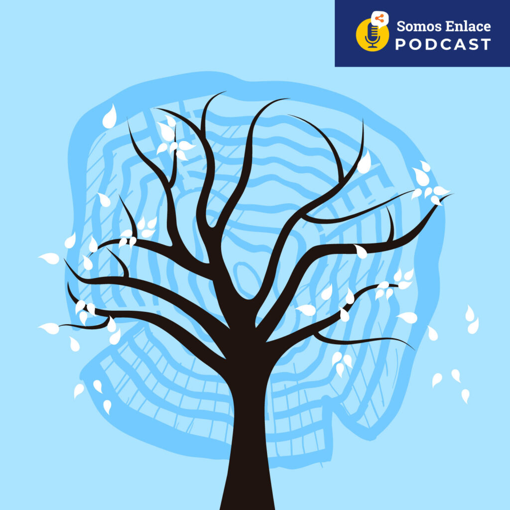 ¿Incrementó la deforestación durante la cuarentena? – Somos Enlace Podcast